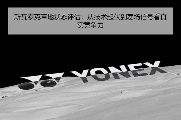 斯瓦泰克草地状态评估：从技术起伏到赛场信号看真实竞争力 - Kaiyun