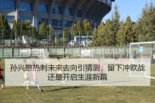 孙兴慜热刺未来去向引猜测，留下冲欧战还是开启生涯新篇 - Kaiyun